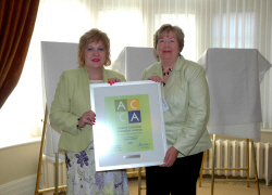 award of merit in non-profit organizations category